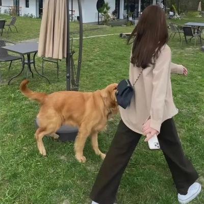 漫研部第三季